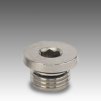 Image NPT & BSPP Hex Plugs